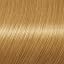 Medium Blonde