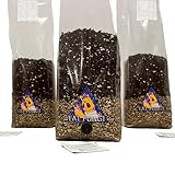 Fat Fungi Mushroom Growing Kit UK | All in One | Organic Rye Grain + CVG | Just add Spores Like Magic...