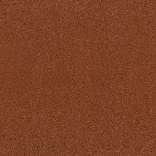 KIYOHARA tFCNU[ n  95cm×50cm Col.BR uE HMF09-50