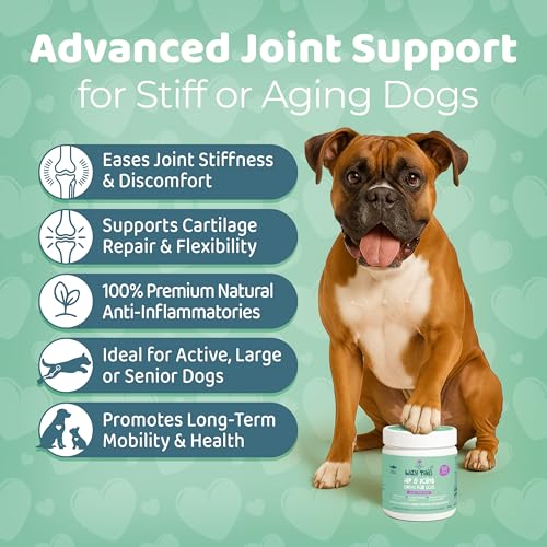 Hip and Joint Supplements for Dogs โ 120 Soft Dog Chews โ Natural Salmon Flavor Hip and Joint Chews for Dogs - Dog Treats for All Breeds & Sizes - Image 3