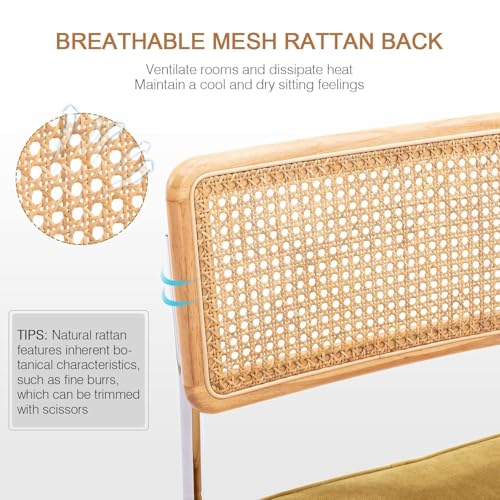 Image of Zesthouse Natural Rattan Dining Chairs Set of 2, Modern Dining Room Chairs with Solid Wood Back for Kitchen Living Room, Mid Century Breuer Design Inspired, Upholstered Velvet Fabric, Yellow