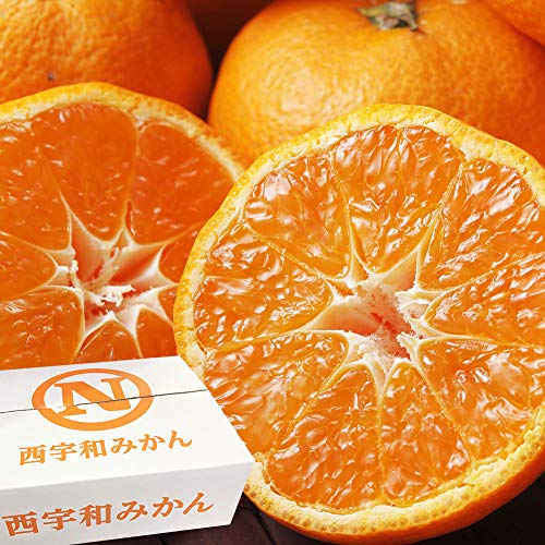 ݂ ݂Ȃ̋Î݂ 󂠂 5kg S`LTCY 40`60 JAɂ ݂Ȃ̋I QY ~J t[c ʕ O