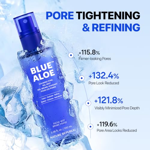 Image of Nature Republic Blue Aloe Calming Pore Gel Mist (100 ml / 3.38 fl. oz.)