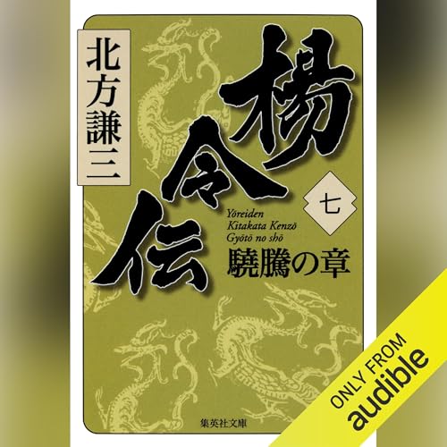 Page de couverture de 楊令伝 七 驍騰の章