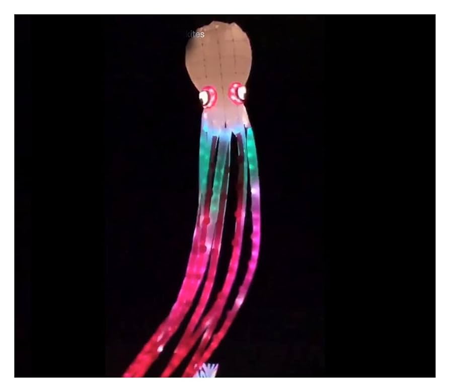 大凧 世界凧博物館東近江大凧会館 | Higashiomi-shi Shiga