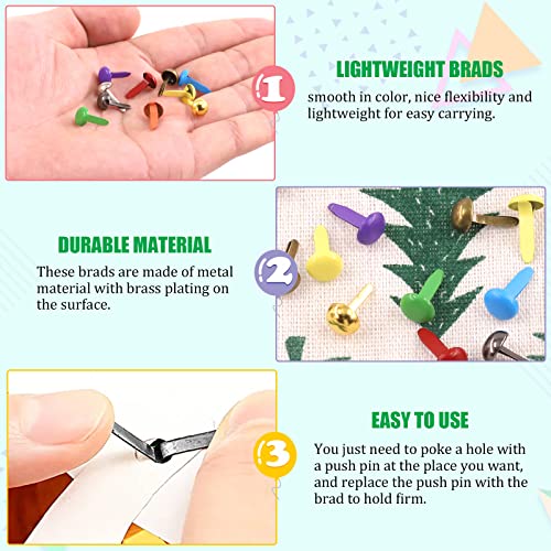 Keadic 1001Pcs 2 Styles 10 Colors Mini Paper Fasteners Brads With Storage Case, Round/Mushroom Metal Brad Split Pins Pastel Brads For Diy Crafts Scrapbooking Embellishment Supplies(8 X 14Mm, 8 X 15Mm) #TOP3