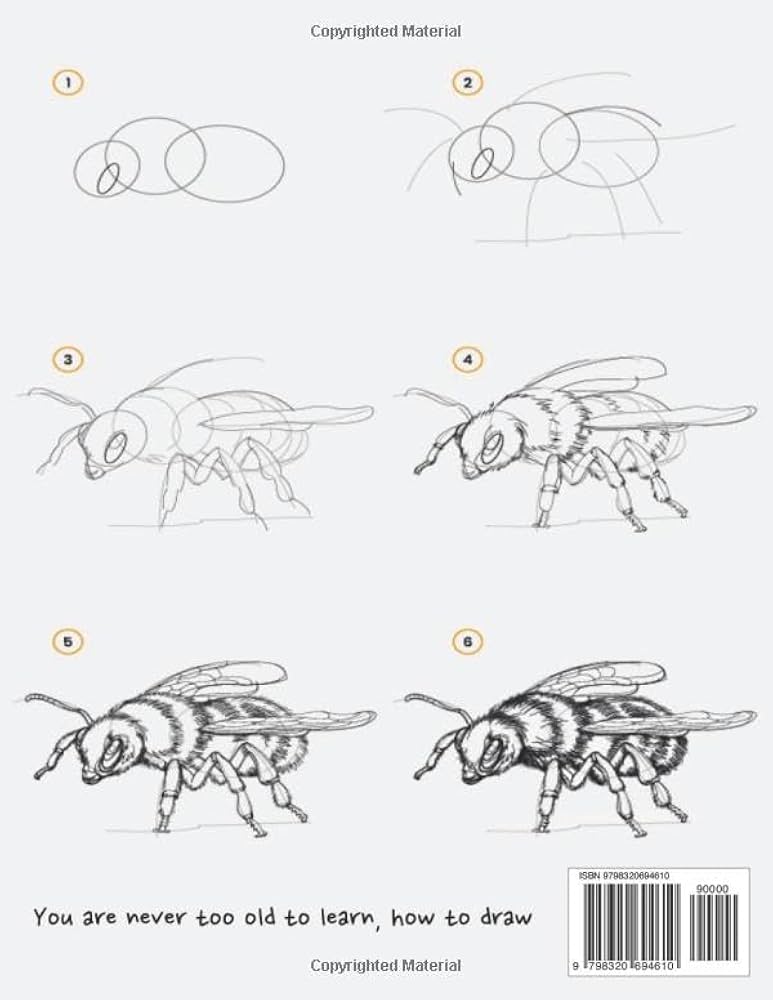 amazon-com-easy-step-by-step-drawing-for-adults-master-the-art-of-drawing-in-simple-steps-a-beginner-s-guide-for-adults-with-no-prior-experience-9798320694610-kularathna-chamindu-lakshan-books for Free Printable Step By Step Drawing For Adults Amazon.com: Easy Step-by-Step Drawing for Adults: Master the Art of Drawing in Simple Steps: A Beginner's Guide for Adults with No Prior Experience: 9798320694610: kularathna, chamindu lakshan: Books for Free Printable Step By Step Drawing For Adults