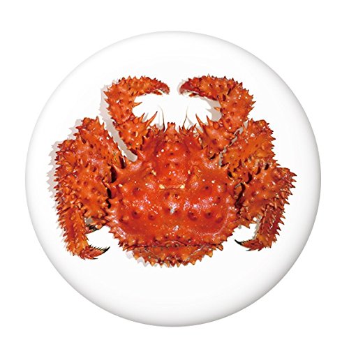 C̍KʃobW yJjz TCYi32mmj }Olbgi΁j^Cv