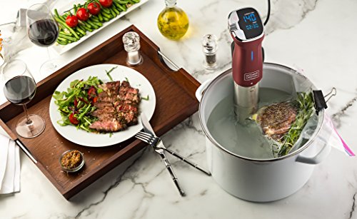 Kitchen Gizmo Sous Vide Immersion Cooker - Cook with Precision, 800 Watt Grey Circulator Stick with Touchscreen Control Panel and Safety Feature - Bonus Recipe Book Included