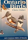 Ontario Birds