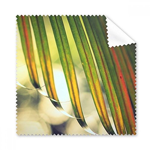 Chiffon de nettoyage écran téléphone contre les traces, motif feuille de soleil