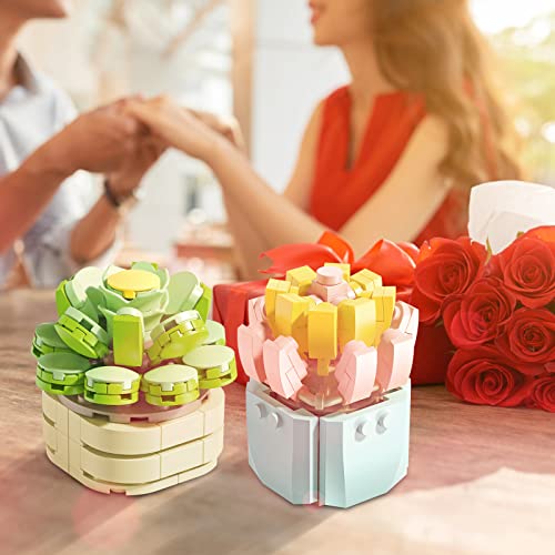 Feelo Stem Succulents Plants Building Set Mini Bricks Bonsai Model Christmas Brithday Gifts For Kids, Boys Girls Gift(2 Set) #TOP5
