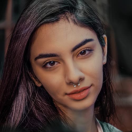 LOLIAS 16G-6G Septum Pincher Tapers Rings Acrylic Stainless Steel Internally Threaded Spike Horseshoe Barbells Septum Pincher Nose Ear Cartilage Stretching Kit for Women Men4