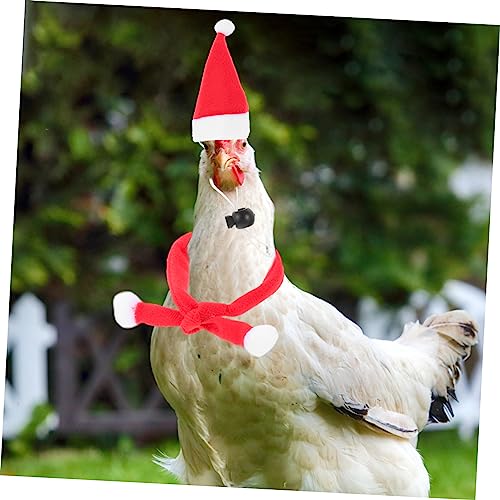 Conjunto de 6 sombreros y bufandas navideñas para mascotas miniatura 7