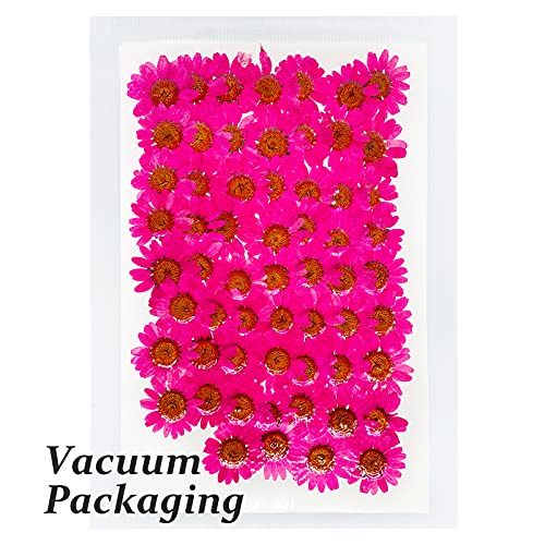 Flores secas prensadas HEISENLIN 60 unidades color rojo miniatura 3