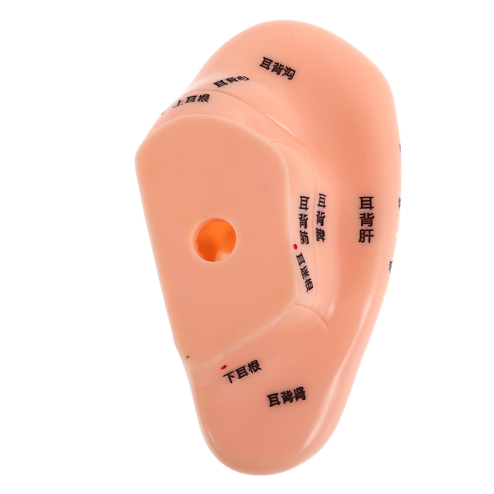 Healvian Acupunctures Ear Point Model Soft Human Body Part for Education Practicing