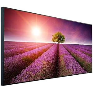 Ecowelle infraroodstraler met afbeelding | 600 watt | 60x100cm | Infrarood verwarming| | Made in Germany