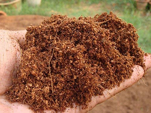 Image of SAPRETAILER Cocopeat Block 5Kg - Expands to 75 litres of Coco Peat Powder