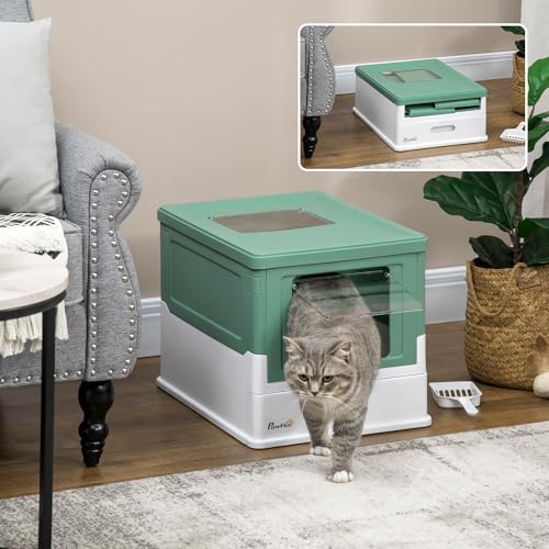 Caja de arena para gato cerrada PawHut verde grande miniatura 2