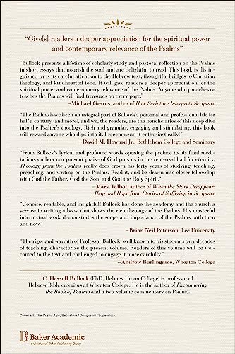 Theology from the Psalms: The Story of God's Steadfast Love - Image 2