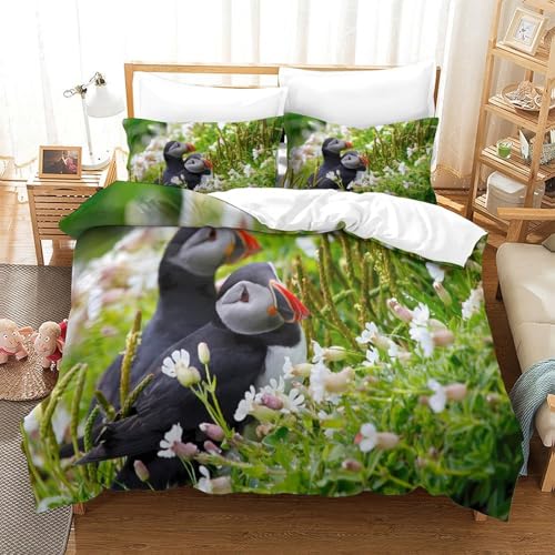 Housse de couette caniche de qualité supérieure parure de lit King 220x240