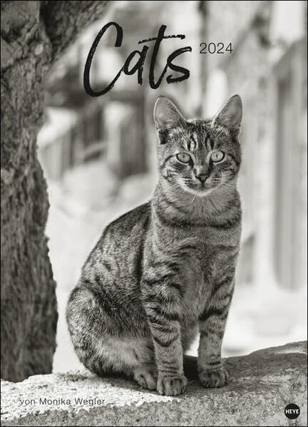 Monika Wegler: Cats Edition 2024. Elegante Samtpfoten in schwarz-weiß in einem XXL-Kalender. Tierkalender 2024 im Großformat. Hochwertiger großer Fotokalender für Katzenfans