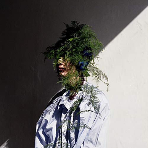 Last Peace Last Peace