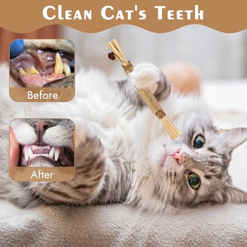 Tikplus 21 Stück Katzenminze Stick, 6 Stück Katzenminze Spielzeug 15 Stück Matatabi Stick Katze, Katzen Kauhölzer Sticks für Katzen Zahnpflege und Gegen Mundgeruch Katzensticks Kausticks