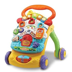 Vtech 80-505604 Baby Loopwagen, meerkleurig, Duitstalig