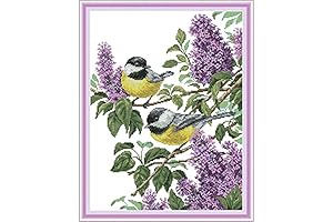 Joy Sunday Cross Stitch Kits, Stamped Full Range Embroidery Kits for Beginners