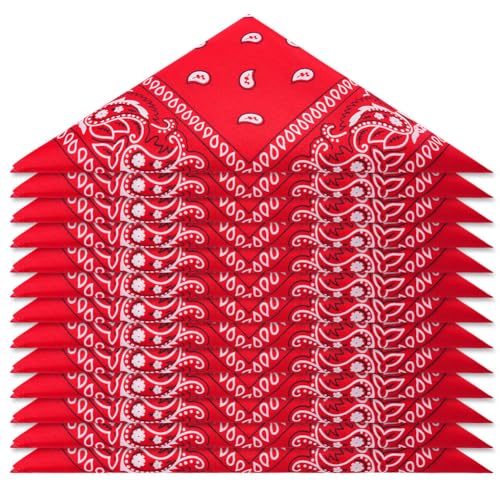 Aomig Pañuelos Cabeza Mujer, Pañuelo Pirata con Diseño Único Estampado, Bandana Hombre de Moda y Deporte, Pañuelos de Estampado Paisley para Cuello, Cabeza, Muñeca, Adultos y Niños, 54 X 54 cm