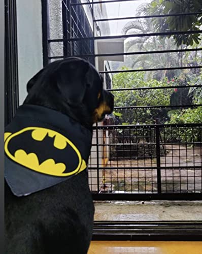 Image of TDIT X�DC Batman Reversible Dog Bandana with Adjustable Dog Collar (Size X-Large)