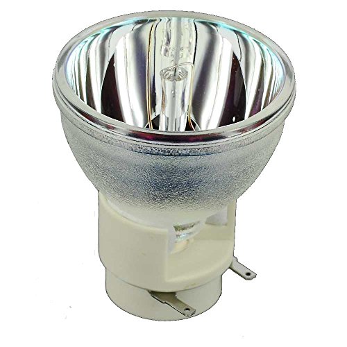 Wedn SP. 8vh01gc01 / Bl-fp190d Vidéoprojecteur Bare ampoule lampe P-VIP 190/0.8 E20.8 Lampe de remplacement pour projecteur Optoma HD141 X EH200ST GT1080 HD26 S316 Dx346 Br323 Br326 DH1009