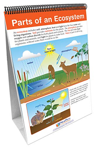 Image of STAAR Grade 5 Organisms & Environment Curriculum Mastery Flip Charts