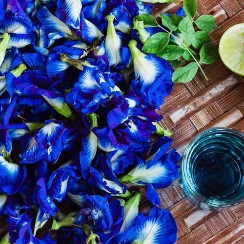 Butterfly Pea Seeds for Planting 35 PCS Blue Flower Climbing Vine Seeds for Outdoor Gardens Fast-Growing Climbing Plant Easy to Germinate