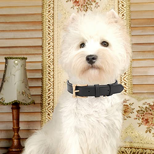 Collar de Cuero para Perro Padded Negro XL miniatura 6