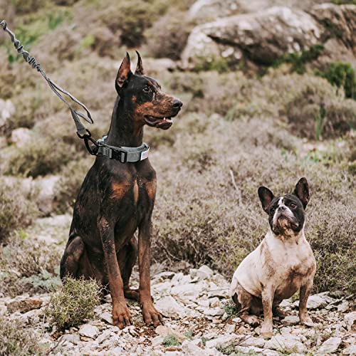 Annalovic Tactical Dog Collar With Velcro, K9 Military Dog Collar With Handle, Adjustable Nylon Dog Collar With Heavy Duty Metal Buckle, Dog Collar For Small, Medium, Large Dogs (L, Grey) #TOP5