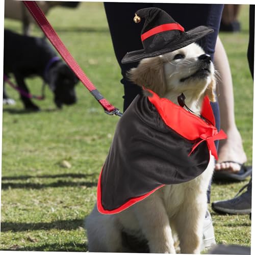 Disfraz alas de murciélago para perros y gatos Halloween miniatura 7