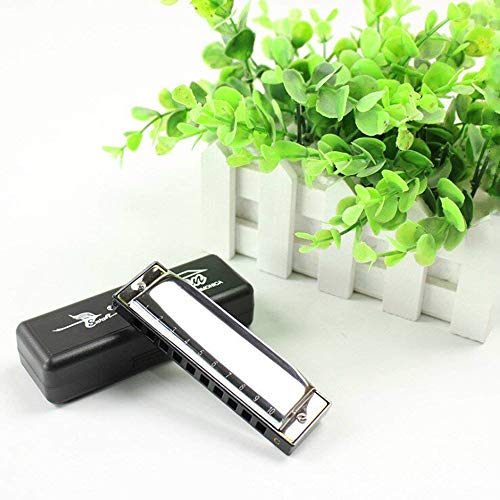 Fliyeong Harmonica diatonique Bruce 10 trous Blues C Tone Harmonica instruments de musique pour débutants pour enfants… - Les Beatles, Paul McCartney, John Lennon, RIngo Starr, George Harrison Fliyeong Harmonica diatonique Bruce 10 trous Blues C Tone Harmonica instruments de musique pour débutants pour enfants… – Image 3