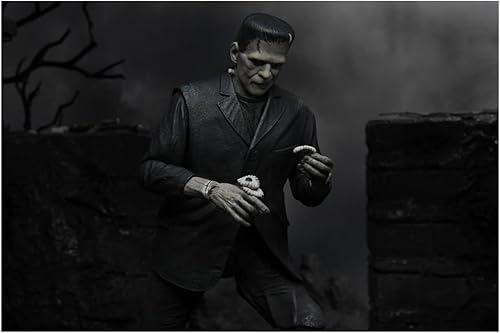 Miniatura 5 de Universal Monsters NECA Frankenstein Figura de acción [versión definitiva, blanco y negro]