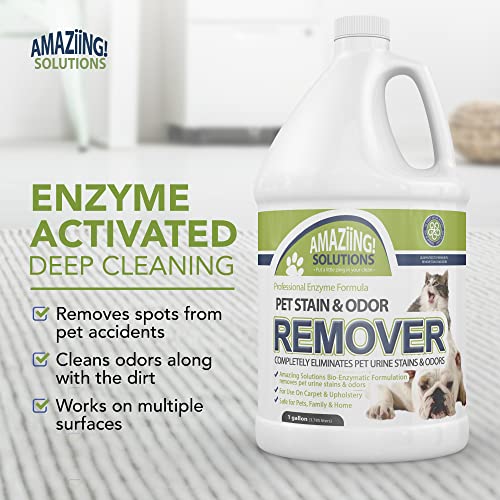 Image of Pet Stain and Odor Remover - Enzyme Cleaner, Pet Urine Odor Eliminator Refill - Floor & Carpet Cleaner, Pet Deodorizers For Home, Fabric Freshener W /Fresh, Clean Scent, 1 Gallon