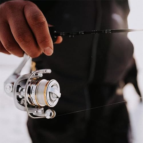 Miniatura 14 de 13 FISHING - Kalon C - Spinning Reels