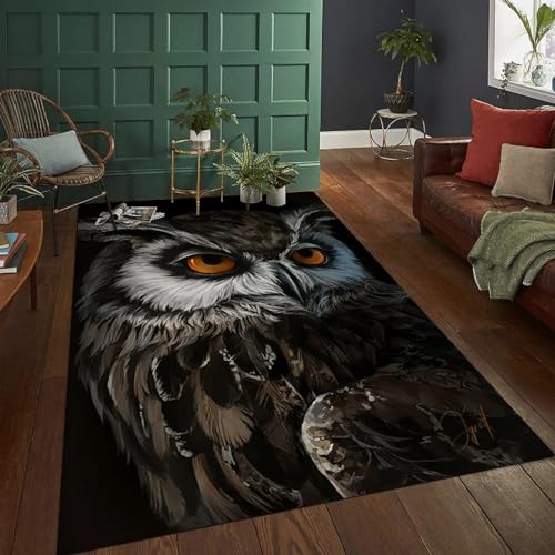 Tapis 3D Chouette, Animal Tapis Salon Chambre Jeux d'enfants Tapis De Sol Famille Tapis De Bienvenue Flanelle Paillasson Antidérapant -21938829265