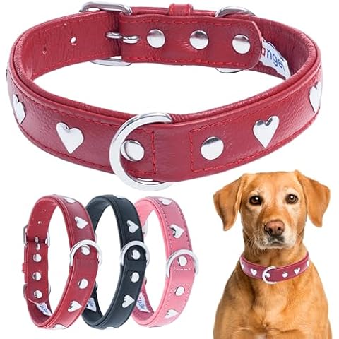 Angel Pet Supplies Inc. Genuine Leather Rotterdam Hearts Studded Dog Collar by Angel Pet. Soft and Durable Padded Leather. (14” x 3/4”, Valentine Red), 41352 Cover