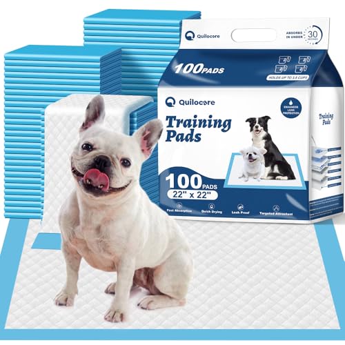 Image of 100 Count 22 inch x 22 inch Disposable Dog Pee Pads | Super Absorbent Leakproof Puppy Pads Quick Drying, Pee Pads for Dogs, Potty Dog Training Pads