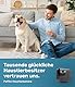 PetTec® Cam 360° Haustierkamera Hundekamera mit App [OHNE ABO-FALLE] - Katzen & Hunde Kamera Zuhause mit Bewegungserkennung & Nachtsichtfunktion - Full HD Rundumblick 360° Schwenken & Neigen - Pet Cam
