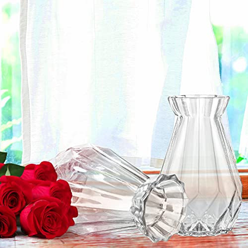 Belle Vous Helder Kristal Glas Vazen (2 Pak) – 15 cm – Modern Decoratieve Cylinder Glas Bloemen Vaas Set voor Huis Kopstuk en Kantoor Decoratie - Afbeelding 6