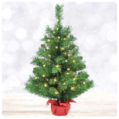 Gfilay 2ft Mini Christmas Tree with Lights,Small Table Top Pre-Lit Christmas Tree with 35 LED Lights - Portable for Room Decoration