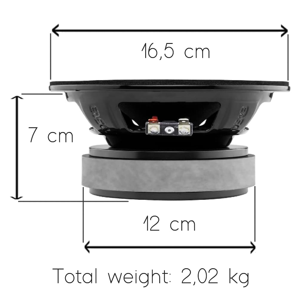 Set pour DS 18 PRO-68XA 1 Enceinte médium Grave, édition 10ème Anniversaire, 16,5 cm 165 mm 6.5", 250 Watt rms 500 Watt Max, 8 ohm, 96 DB, pour la Maison, 1 pièce + Montage faston