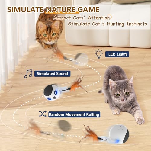 ORSDA-Cat-Toys-Interactive-Cat-Toys-for-Indoor-Cats-Automatic-Moving-Ball-Bird-for-Bored-Indoor-Adult-Cat-Kitten-Toys-Ball-Motion-Activated-Fast-Moving-Chirping-Stimulating-Light